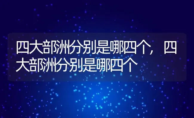 四大部洲分别是哪四个,四大部洲分别是哪四个 | 养殖常见问题