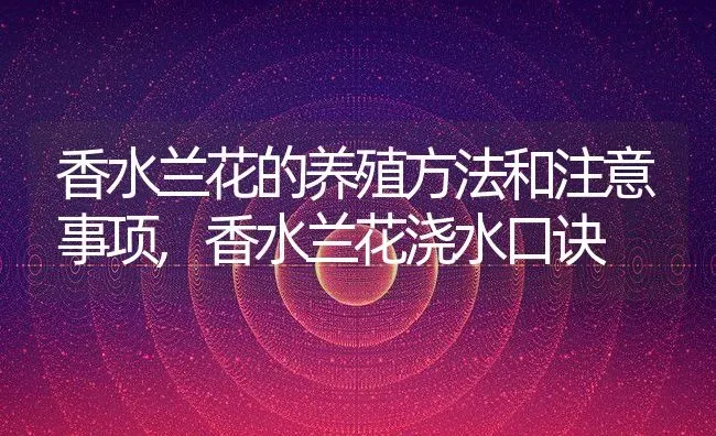 香水兰花的养殖方法和注意事项,香水兰花浇水口诀 | 养殖常见问题