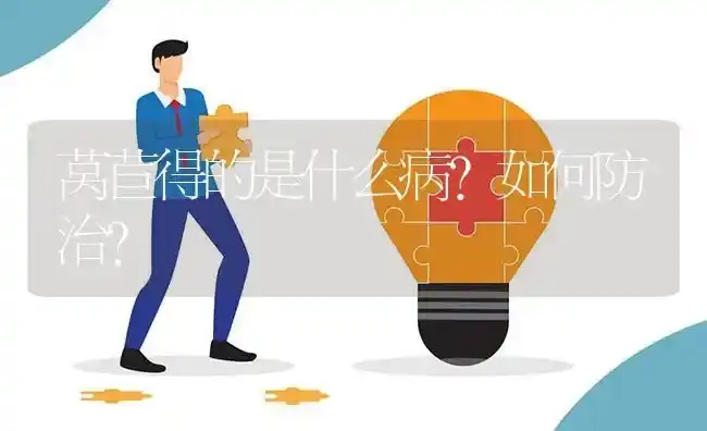 莴苣得的是什么病?如何防治? | 养殖问题解答