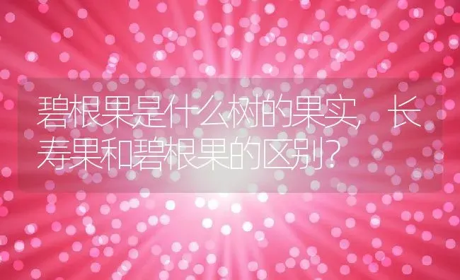 碧根果是什么树的果实,长寿果和碧根果的区别？ | 养殖常见问题