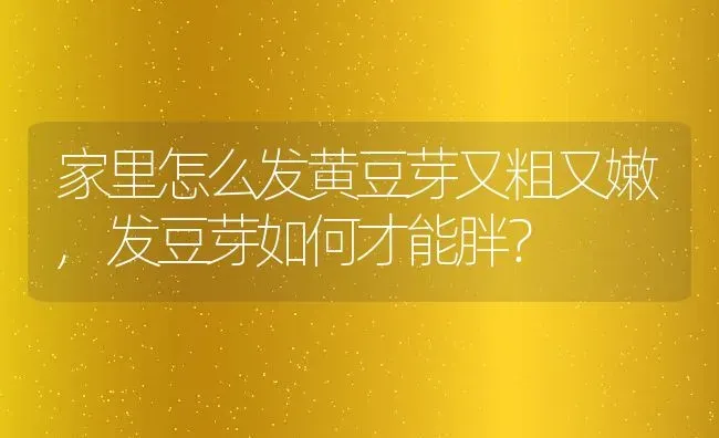 家里怎么发黄豆芽又粗又嫩,发豆芽如何才能胖？ | 养殖常见问题