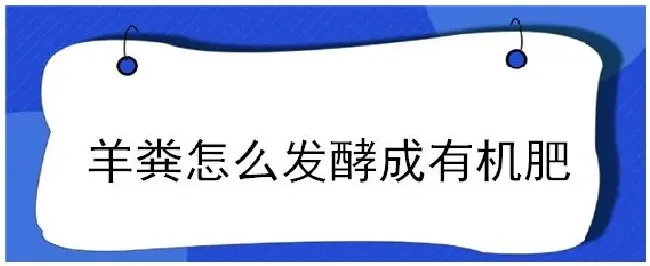 羊粪怎么发酵成有机肥 | 生活常识
