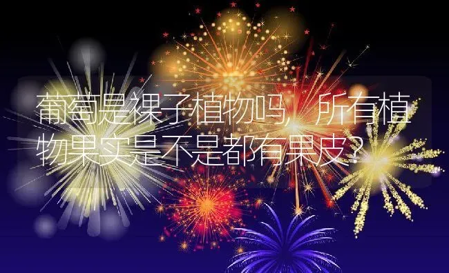 葡萄是裸子植物吗,所有植物果实是不是都有果皮？ | 养殖常见问题