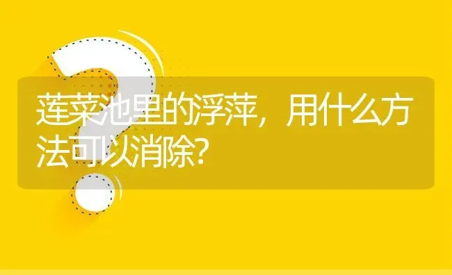 莲菜池里的浮萍,用什么方法可以消除? | 养殖问题解答