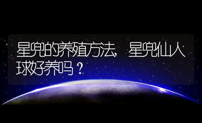 星兜的养殖方法,星兜仙人球好养吗？ | 养殖常见问题