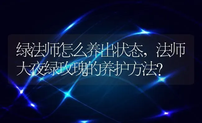 绿法师怎么养出状态,法师大夜绿玫瑰的养护方法？ | 养殖常见问题