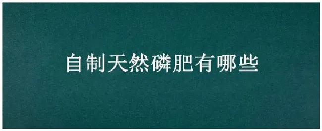 自制天然磷肥有哪些 | 农业答疑