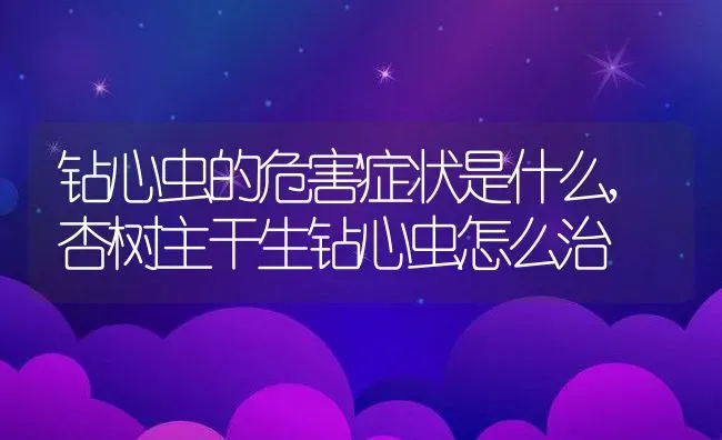 钻心虫的危害症状是什么,杏树主干生钻心虫怎么治 | 养殖常见问题