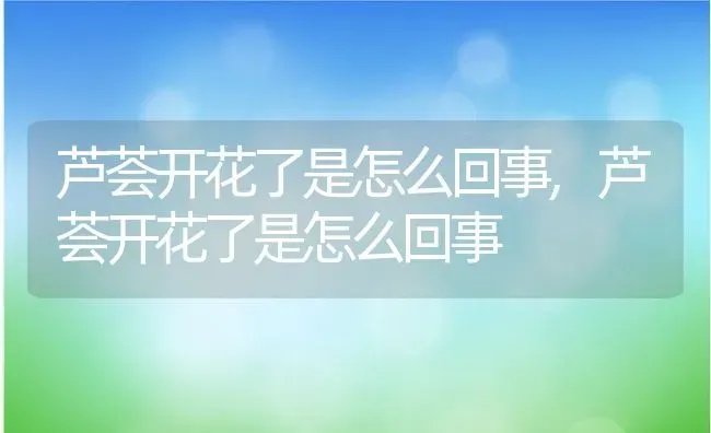 芦荟开花了是怎么回事,芦荟开花了是怎么回事 | 养殖常见问题