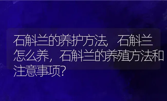 石斛兰的养护方法,石斛兰怎么养，石斛兰的养殖方法和注意事项？ | 养殖常见问题