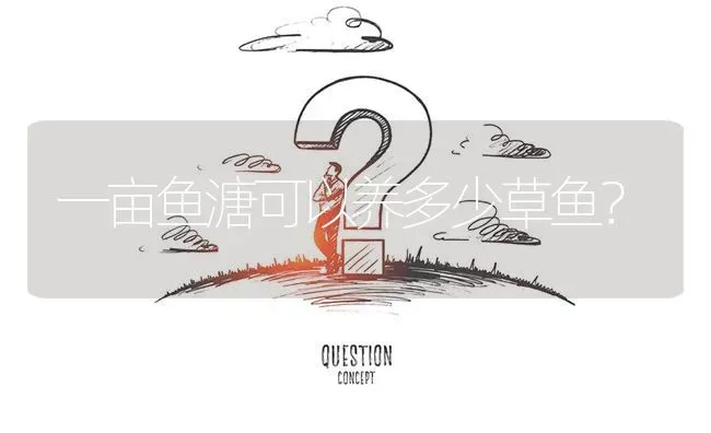 一亩鱼溏可以养多少草鱼? | 养殖问题解答