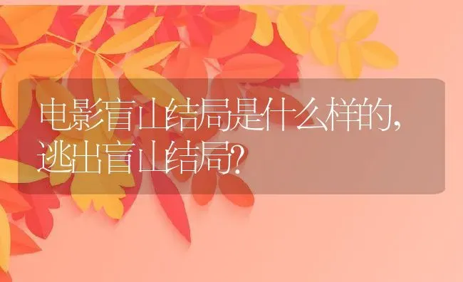 电影盲山结局是什么样的,逃出盲山结局？ | 养殖常见问题