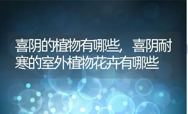 喜阴的植物有哪些,喜阴耐寒的室外植物花卉有哪些 | 养殖常见问题