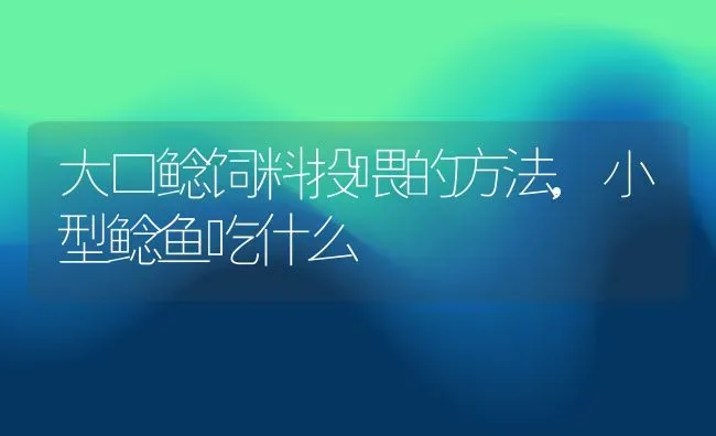 大口鲶饲料投喂的方法,小型鲶鱼吃什么 | 养殖常见问题