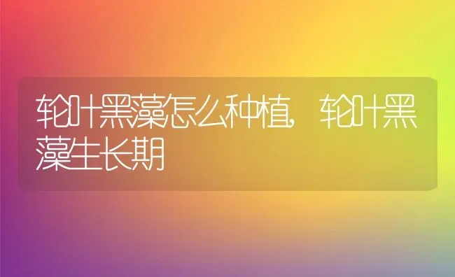 轮叶黑藻怎么种植,轮叶黑藻生长期 | 养殖常见问题