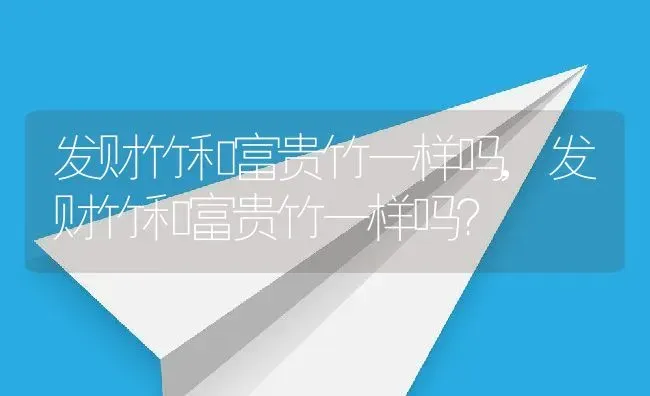 发财竹和富贵竹一样吗,发财竹和富贵竹一样吗？ | 养殖常见问题