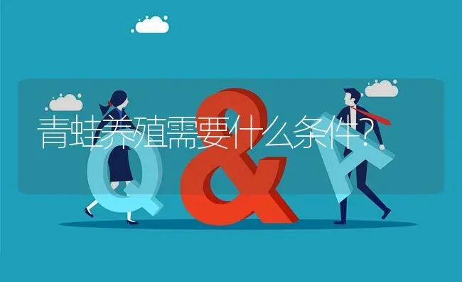 青蛙养殖需要什么条件? | 养殖问题解答