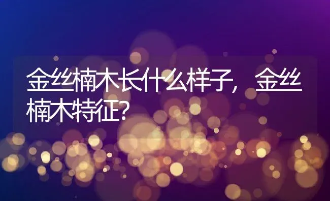 金丝楠木长什么样子,金丝楠木特征？ | 养殖常见问题