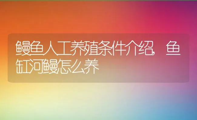 鳗鱼人工养殖条件介绍,鱼缸河鳗怎么养 | 养殖常见问题