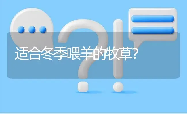 适合冬季喂羊的牧草? | 养殖问题解答