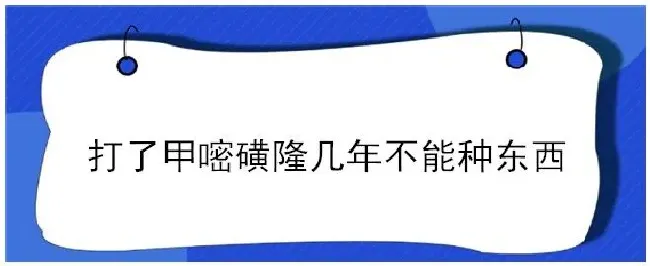 打了甲嘧磺隆几年不能种东西 | 三农问答