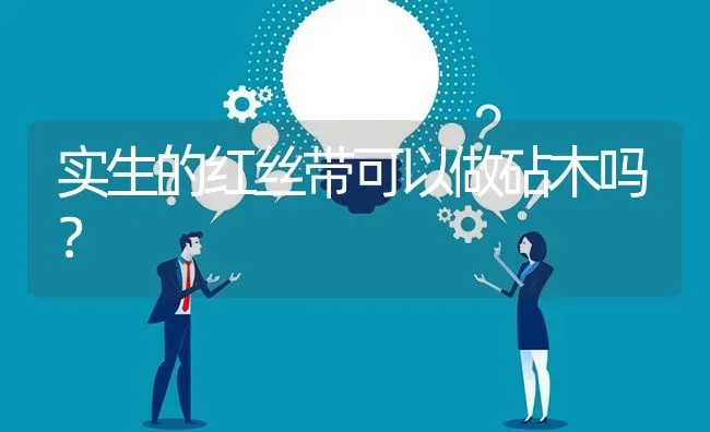 实生的红丝带可以做砧木吗? | 养殖问题解答