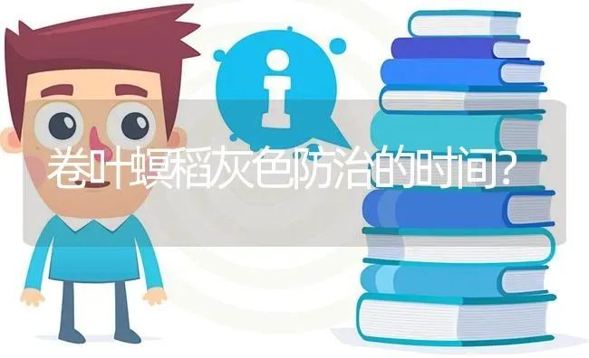 卷叶螟稻灰色防治的时间? | 养殖问题解答