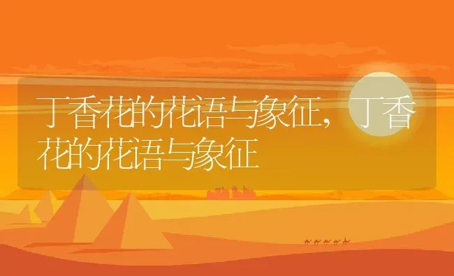 丁香花的花语与象征,丁香花的花语与象征 | 养殖常见问题