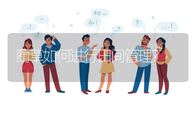 蔺草如何进行田间管理? | 养殖问题解答