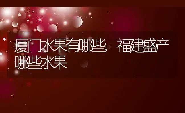 枸杞盆景用什么盆好选什么花盆好看,枸杞花盆选择？ | 养殖常见问题