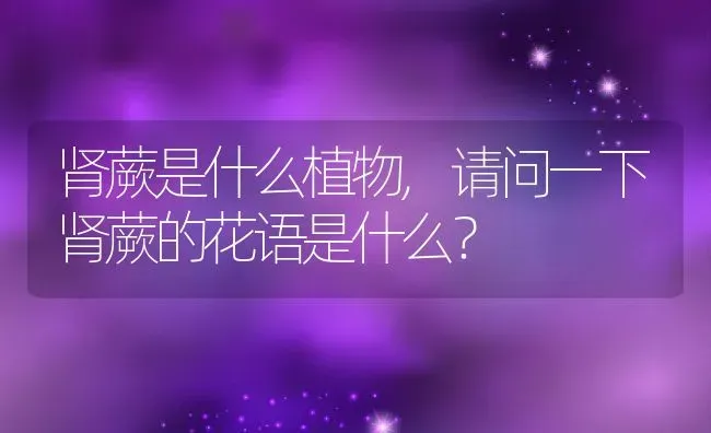 肾蕨是什么植物,请问一下肾蕨的花语是什么？ | 养殖常见问题