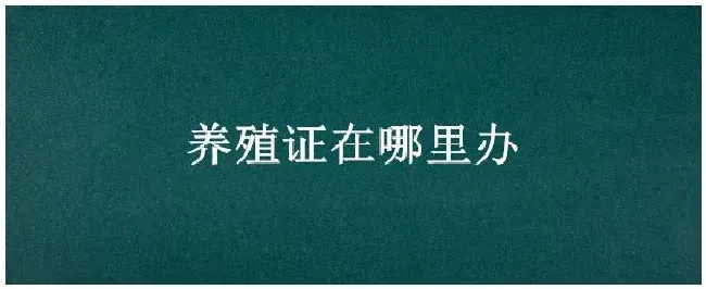 养殖证在哪里办 | 农业答疑