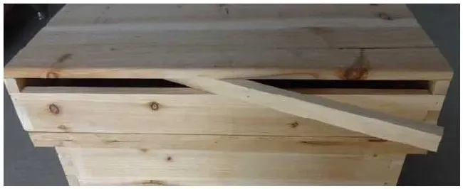 中蜂标准蜂箱55元是真的吗? | 科普知识