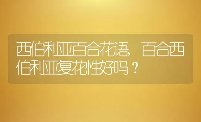 西伯利亚百合花语,百合西伯利亚复花性好吗？ | 养殖常见问题