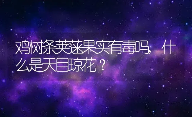 鸡树条荚蒾果实有毒吗,什么是天目琼花？ | 养殖常见问题