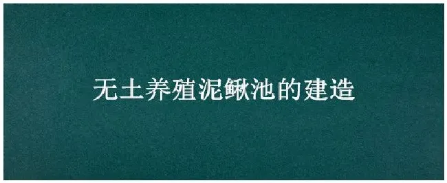 无土养殖泥鳅池的建造 | 科普知识