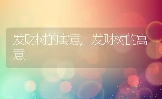 发财树的寓意,发财树的寓意 | 养殖常见问题