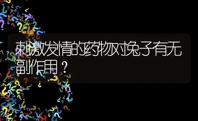 刺激发情的药物对兔子有无副作用? | 养殖问题解答