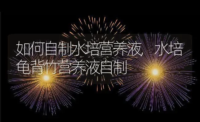如何自制水培营养液,水培龟背竹营养液自制 | 养殖常见问题