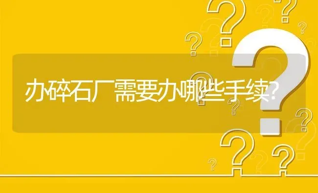 办碎石厂需要办哪些手续? | 养殖问题解答