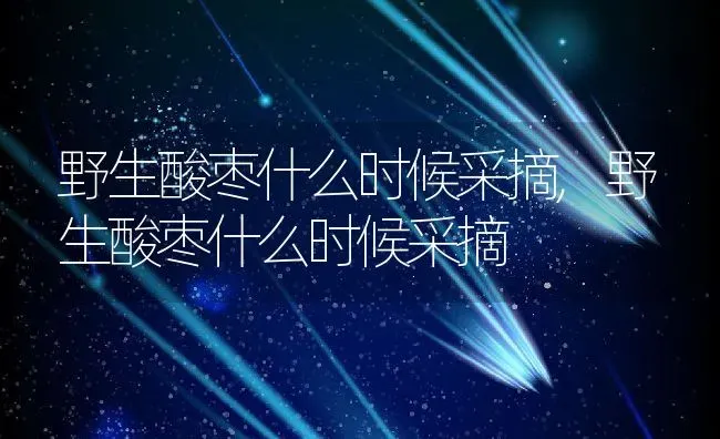 野生酸枣什么时候采摘,野生酸枣什么时候采摘 | 养殖常见问题