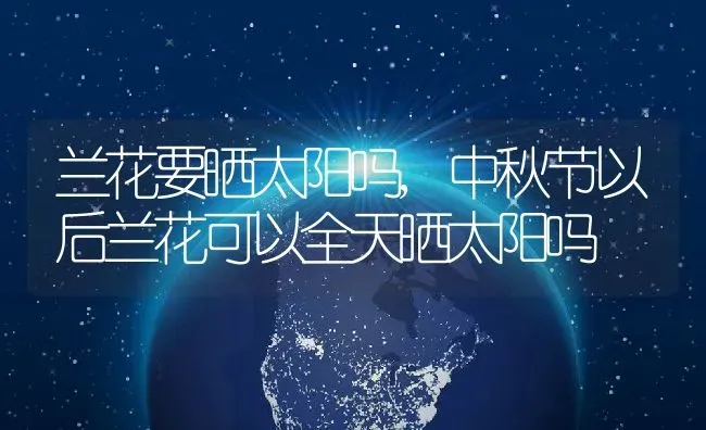 兰花要晒太阳吗,中秋节以后兰花可以全天晒太阳吗 | 养殖常见问题