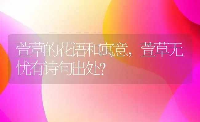 萱草的花语和寓意,萱草无忧有诗句出处？ | 养殖常见问题