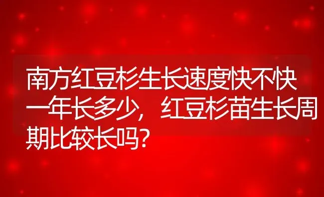 南方红豆杉生长速度快不快一年长多少,红豆杉苗生长周期比较长吗？ | 养殖常见问题