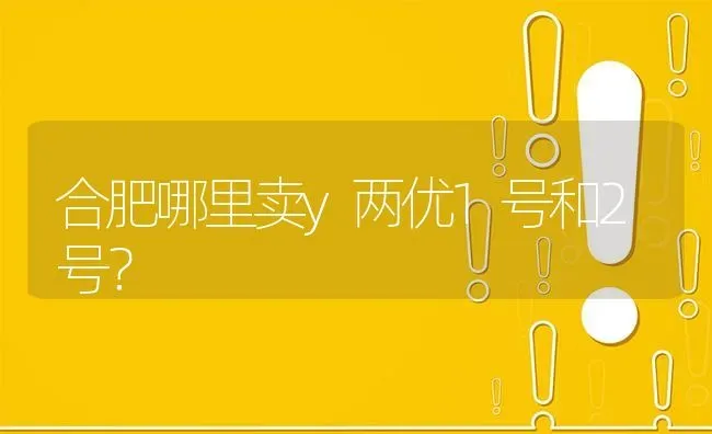 合肥哪里卖y两优1号和2号? | 养殖问题解答