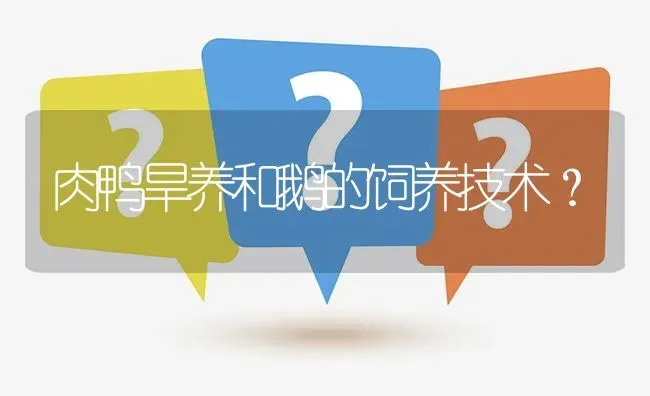 肉鸭旱养和鹅的饲养技术? | 养殖问题解答