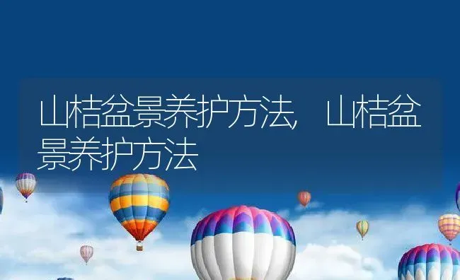 山桔盆景养护方法,山桔盆景养护方法 | 养殖常见问题