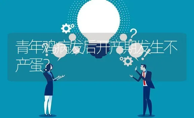 青年鸡病发后开产期发生不产蛋? | 养殖问题解答