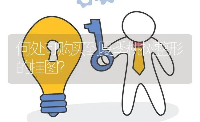 何处可购买到夏季桃树整形的挂图? | 养殖问题解答
