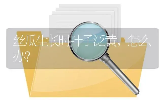 丝瓜生长时叶子泛黄,怎么办? | 养殖问题解答